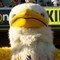 200_SGC8371-thumbnail.jpg